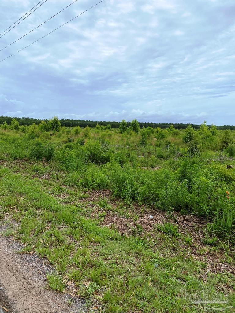 9721 Mistletoe Road, Unit 50 Milton, FL 32583 - Photo 2 of 11 Gallery Image 2