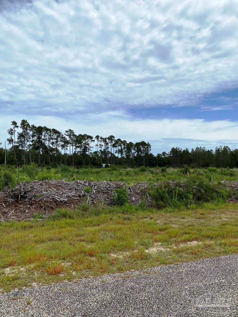 9721 Mistletoe Road, Unit 50 Milton, FL 32583 - Photo 7 of 11 Gallery Image 7