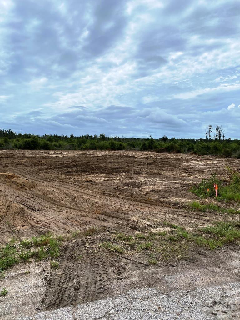 9721 Mistletoe Road, Unit 50 Milton, FL 32583 - Photo 10 of 11 Gallery Image 10