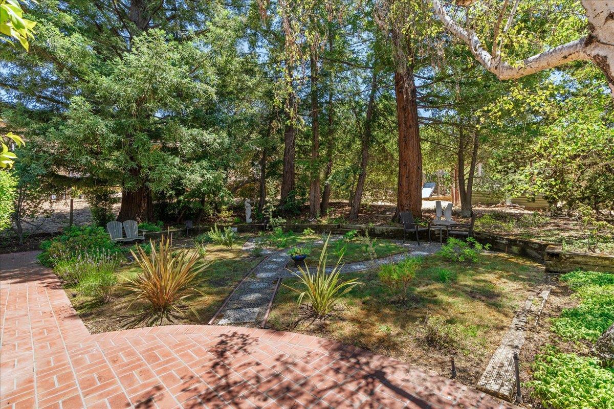 4119 Alpine Road Portola Valley, CA 94028 - Photo 7 of 38 a view of a yard with plants and trees