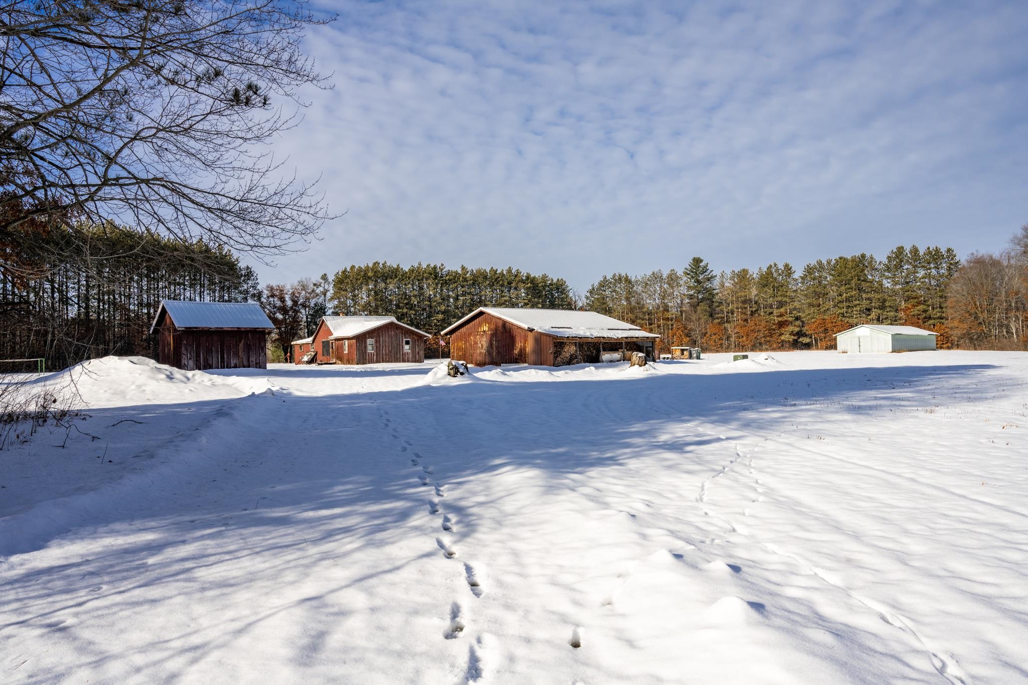 848 Highway 80 Babcock, WI 54413 - Photo 24 of 72