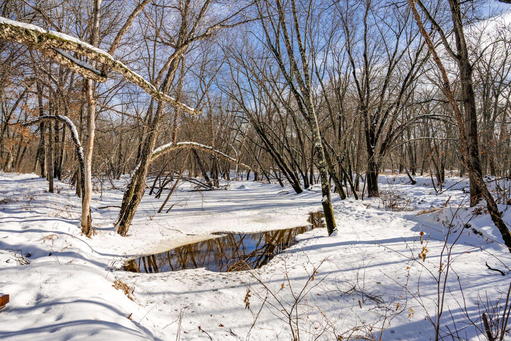 848 Highway 80 Babcock, WI 54413 - Photo 45 of 72