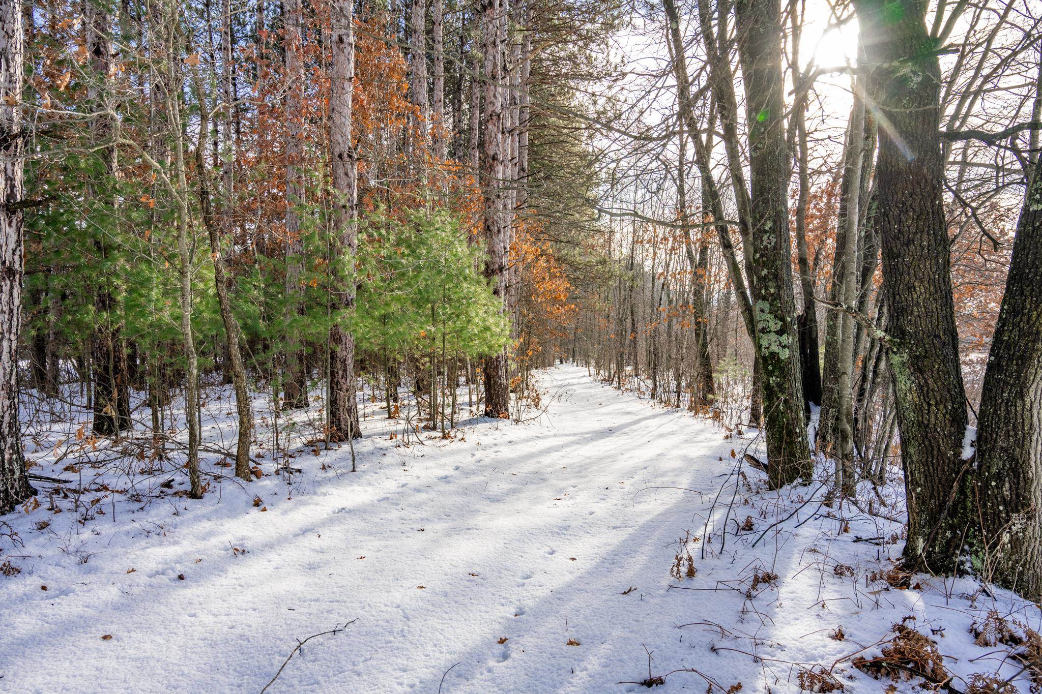 848 Highway 80 Babcock, WI 54413 - Photo 46 of 72