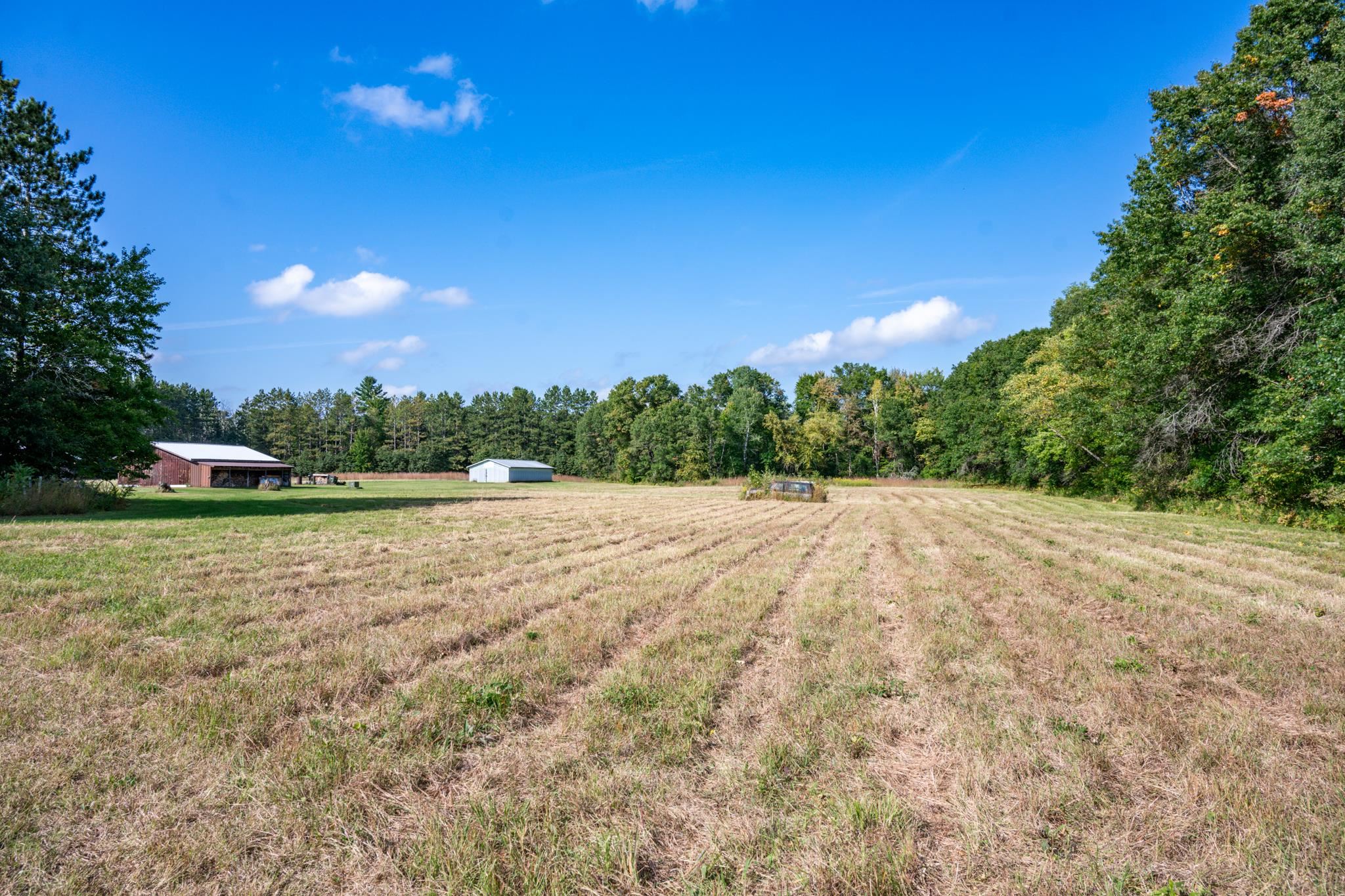 848 Highway 80 Babcock, WI 54413 - Photo 61 of 72