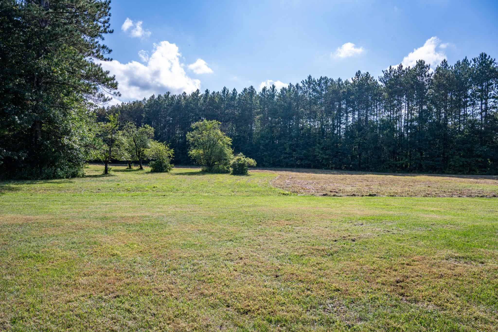 848 Highway 80 Babcock, WI 54413 - Photo 62 of 72