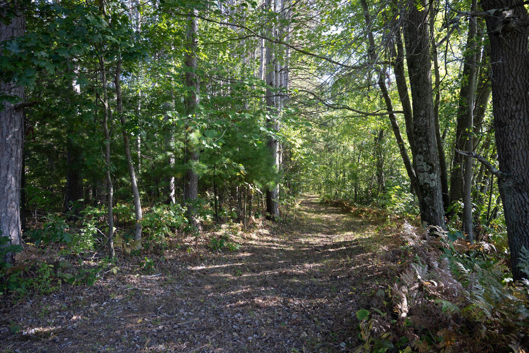 848 Highway 80 Babcock, WI 54413 - Photo 69 of 72