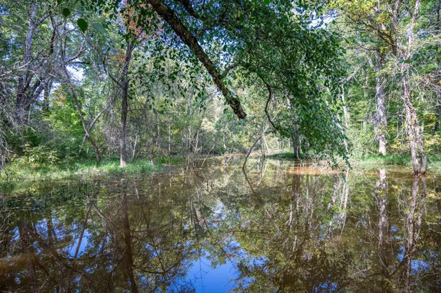 $400,000 | 848 Highway 80, Babcock, WI 54413