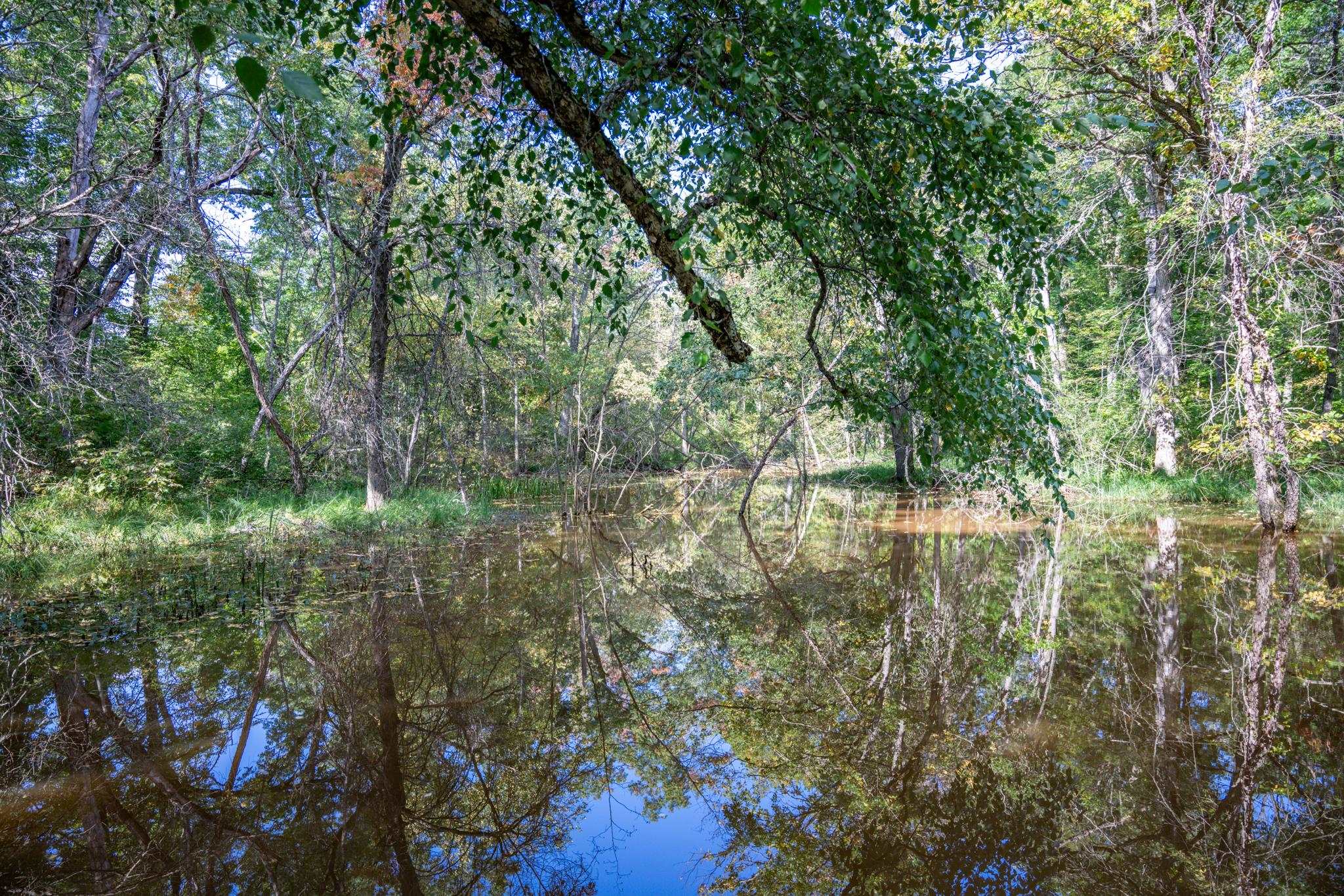 848 Highway 80 Babcock, WI 54413 - Photo 71 of 72