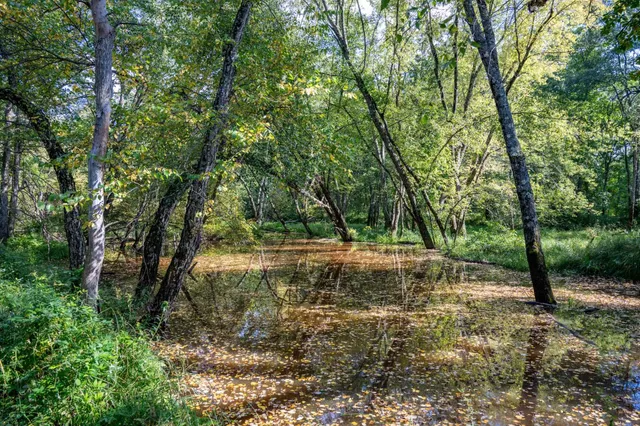 $400,000 | 848 Highway 80, Babcock, WI 54413