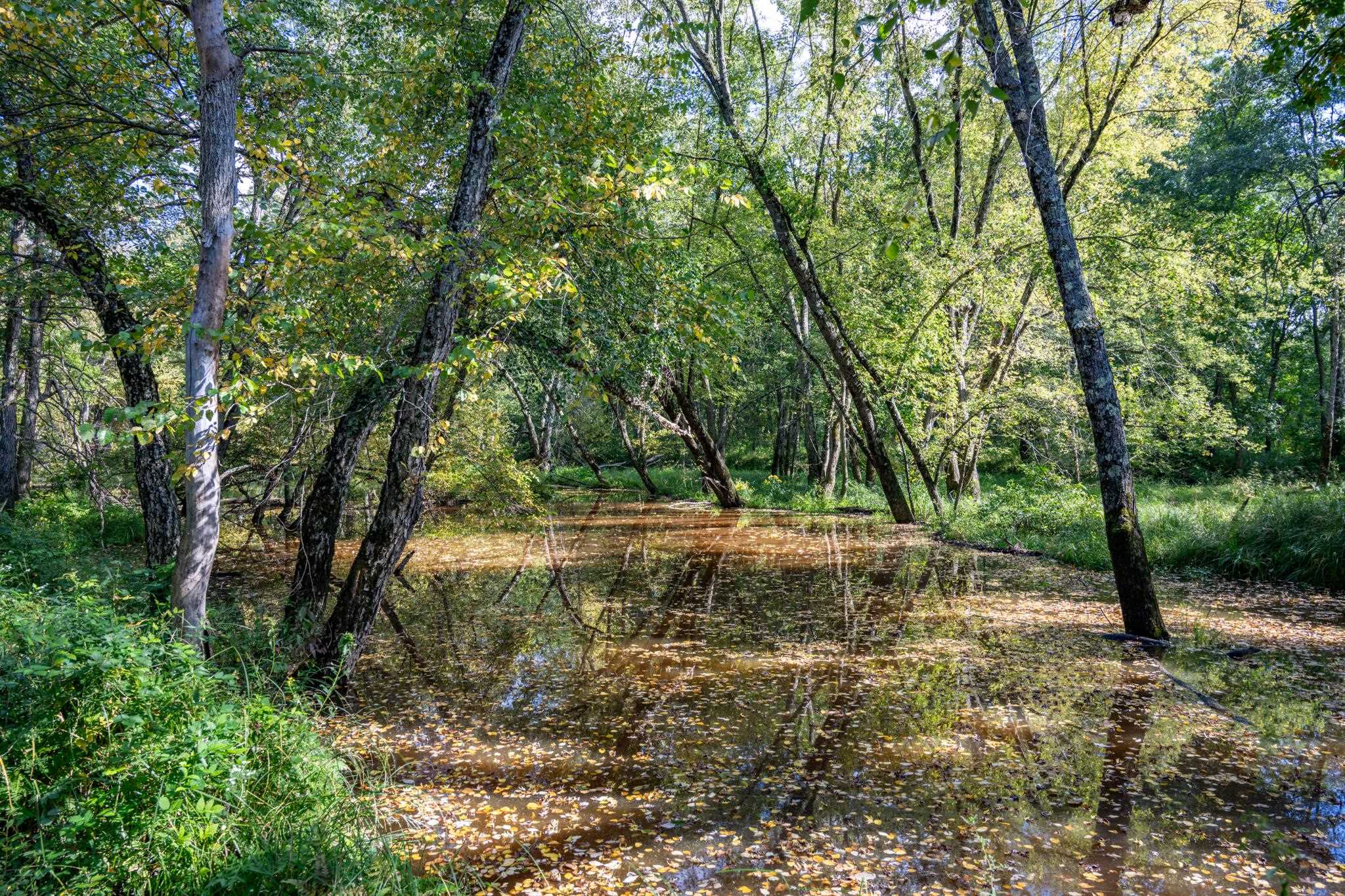 848 Highway 80 Babcock, WI 54413 - Photo 72 of 72