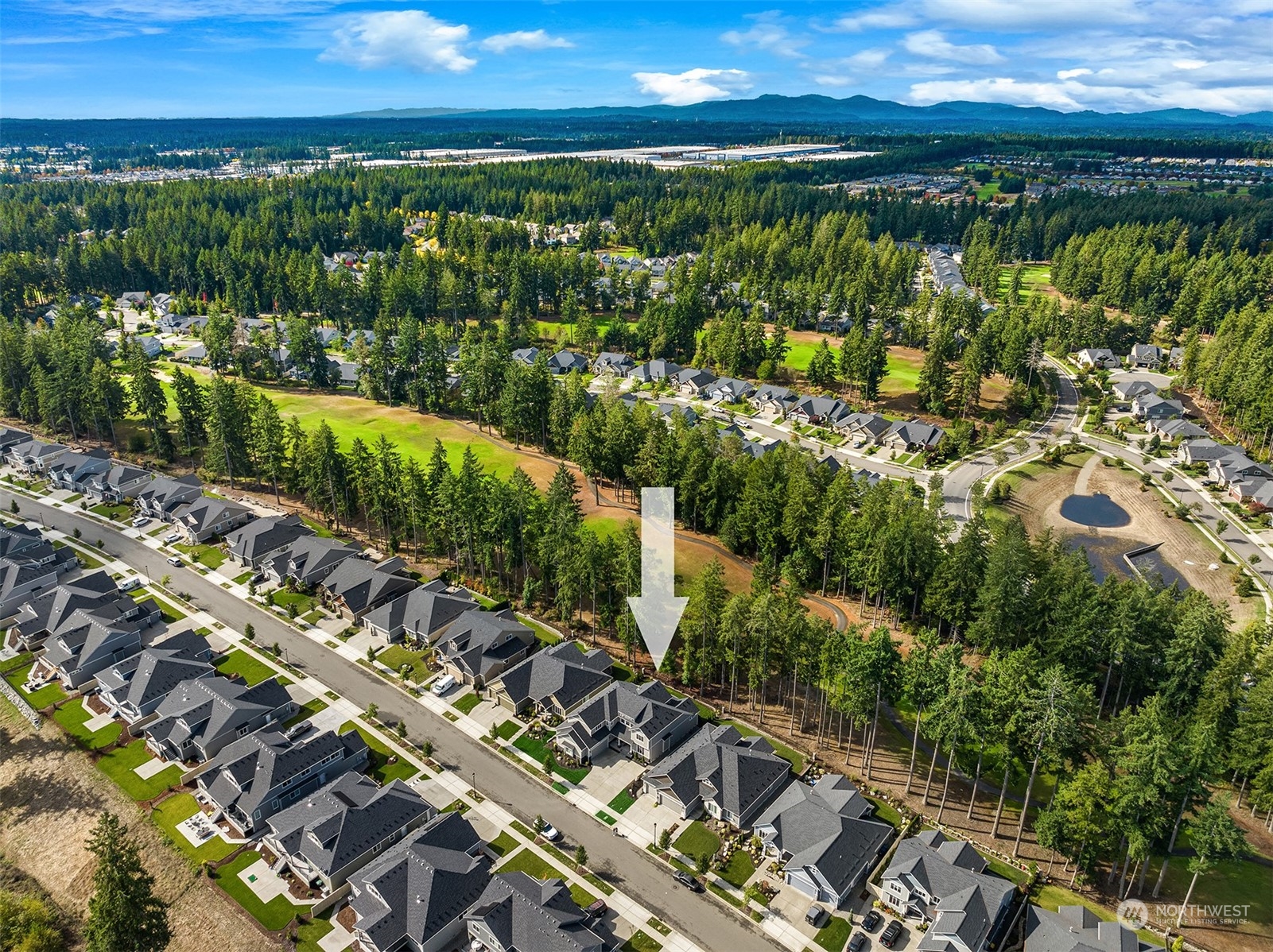 4331 Caddyshack Drive Northeast Lacey, WA 98516 - Photo 34 of 34 a view of a city with lots of trees