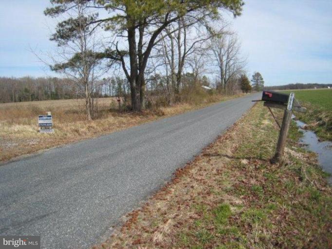 4650 Skinners Run Road Hurlock, MD 21643 - Photo 7 of 17 Street View