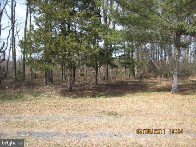 4650 Skinners Run Road Hurlock, MD 21643 - Photo 9 of 17 Back yard