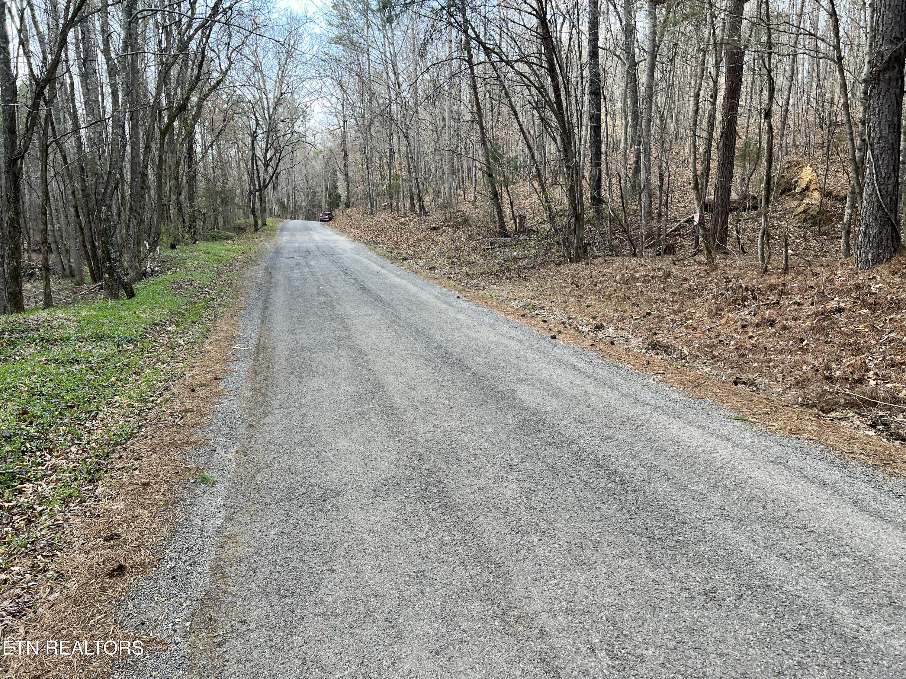 Butler Road Niota, TN 37826 - Photo 3 of 7 IMG_1123