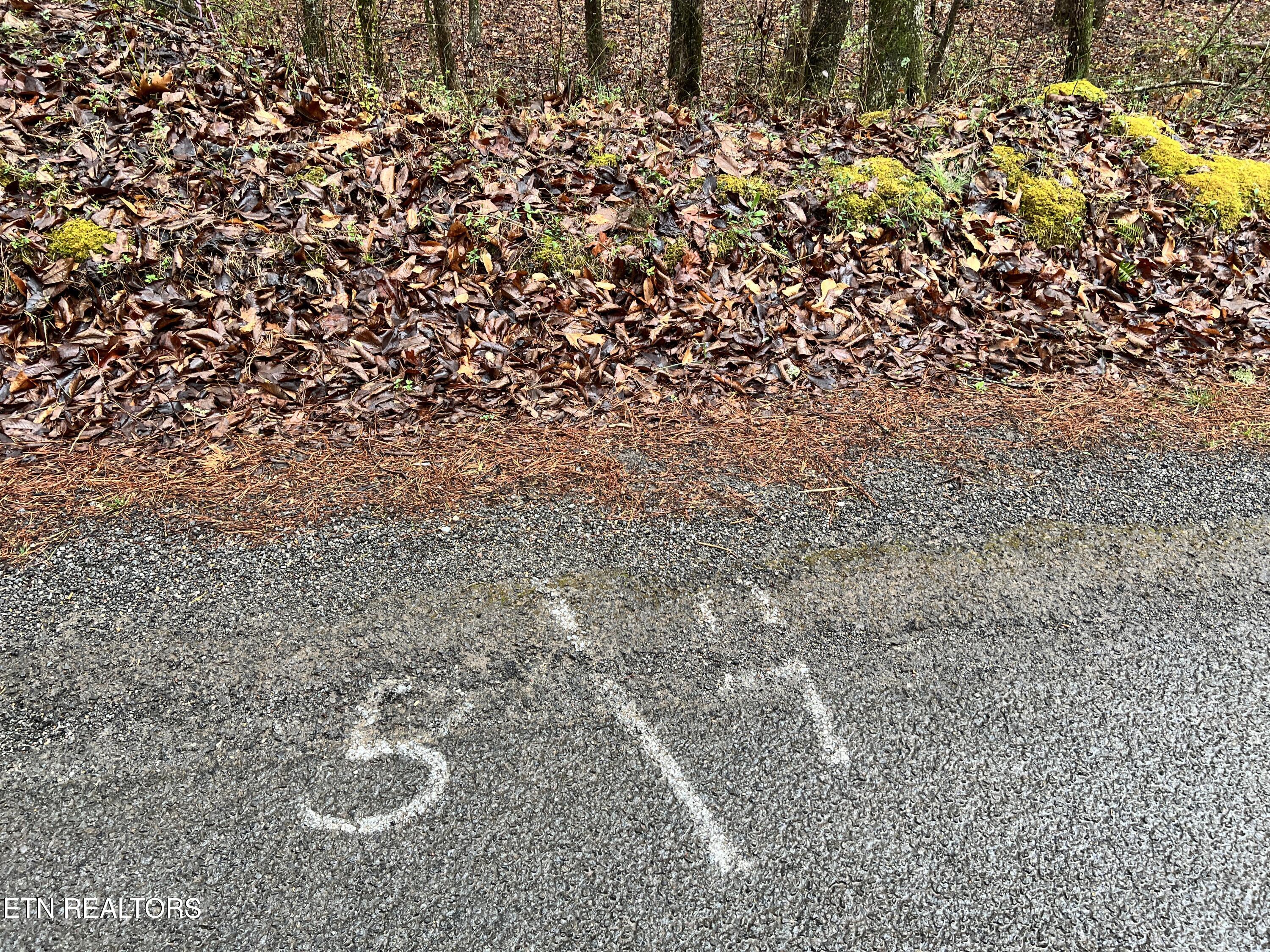 Butler Road Niota, TN 37826 - Photo 5 of 7 IMG_1091