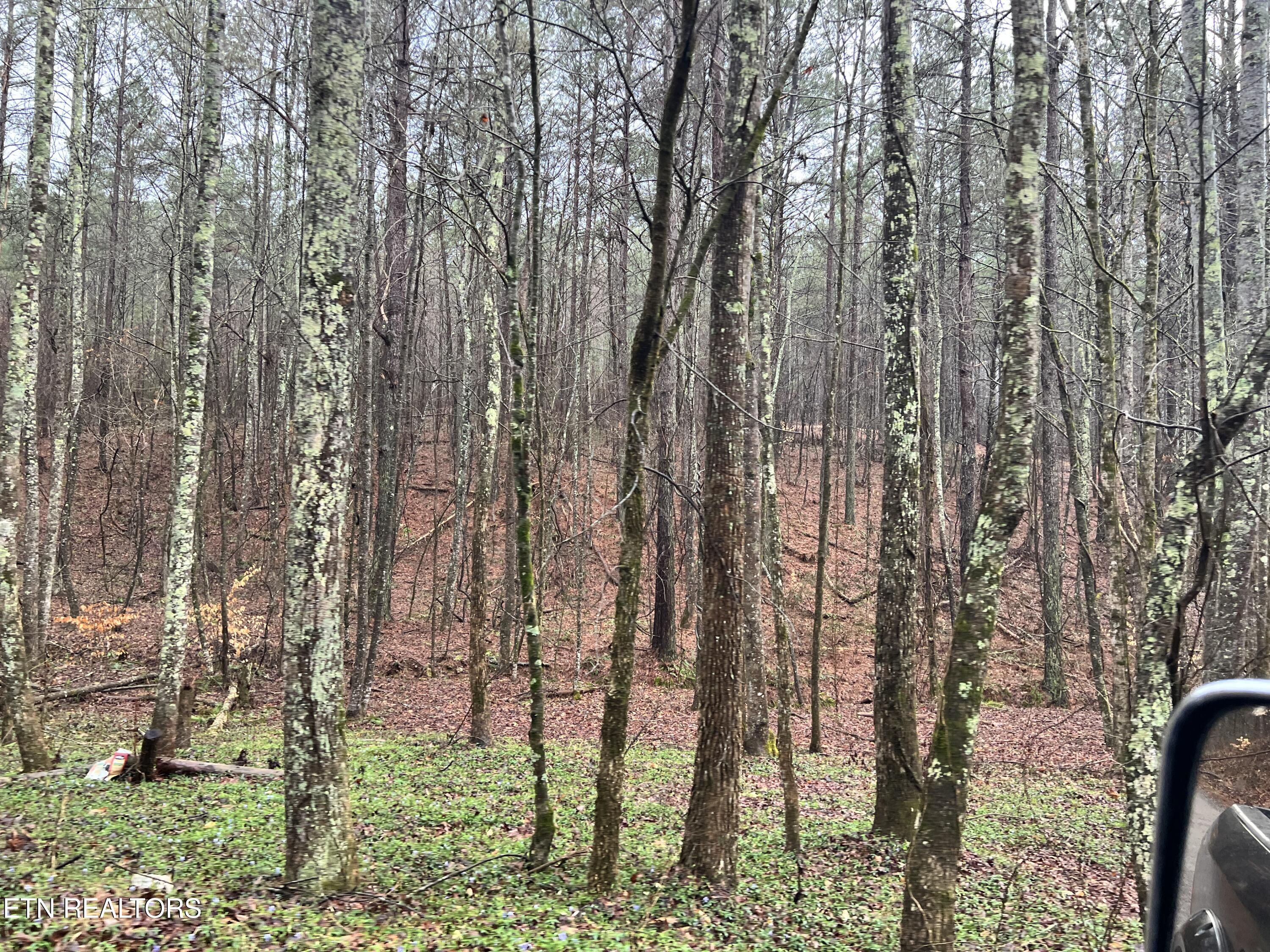 Butler Road Niota, TN 37826 - Photo 6 of 7 IMG_1093