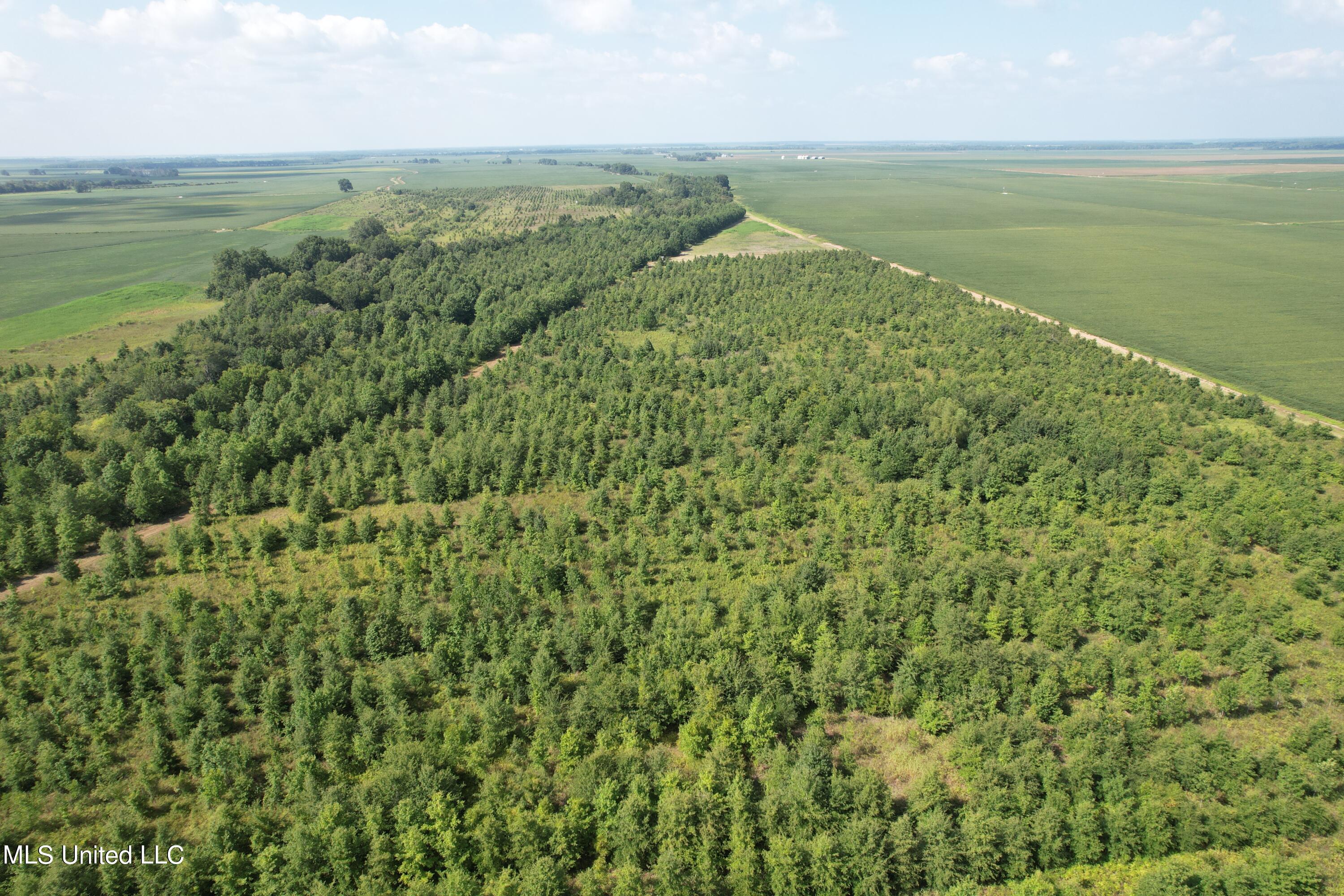 Brooks Road Drew, MS 38737 - Photo 12 of 40 DJI_0787