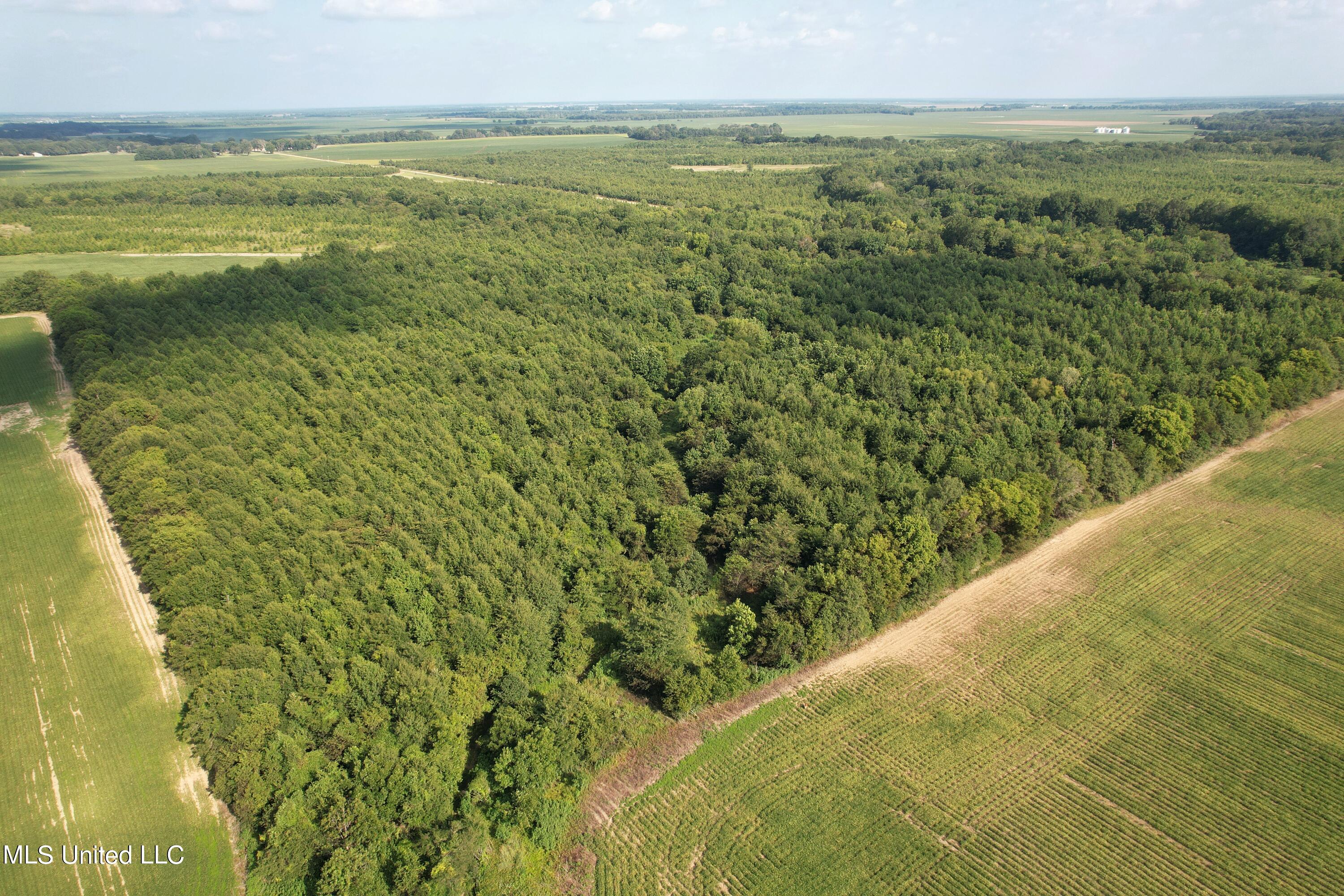 Brooks Road Drew, MS 38737 - Photo 21 of 40 DJI_0796 (1)