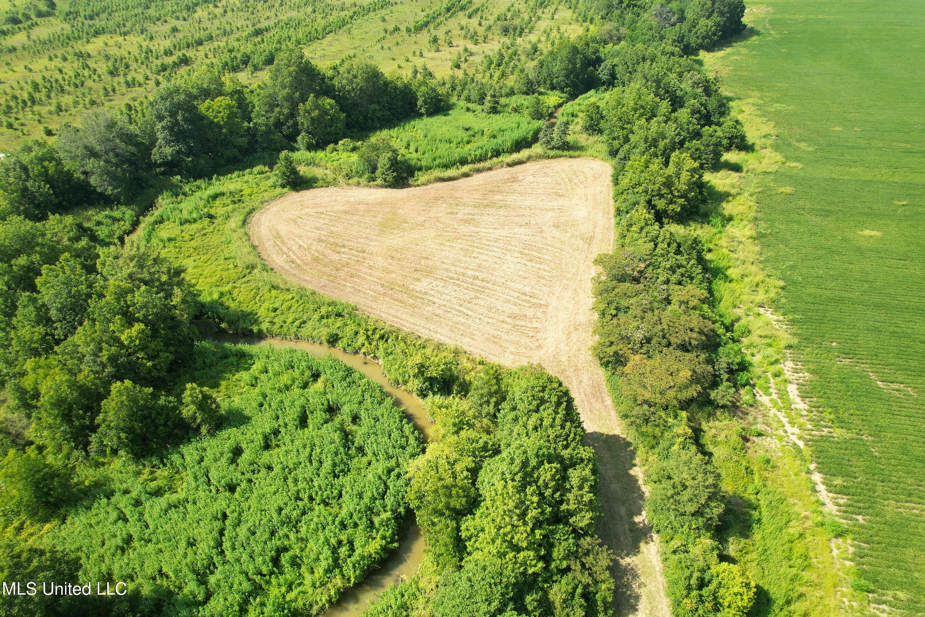 Brooks Road Drew, MS 38737 - Photo 3 of 40 DJI_0778 (1)
