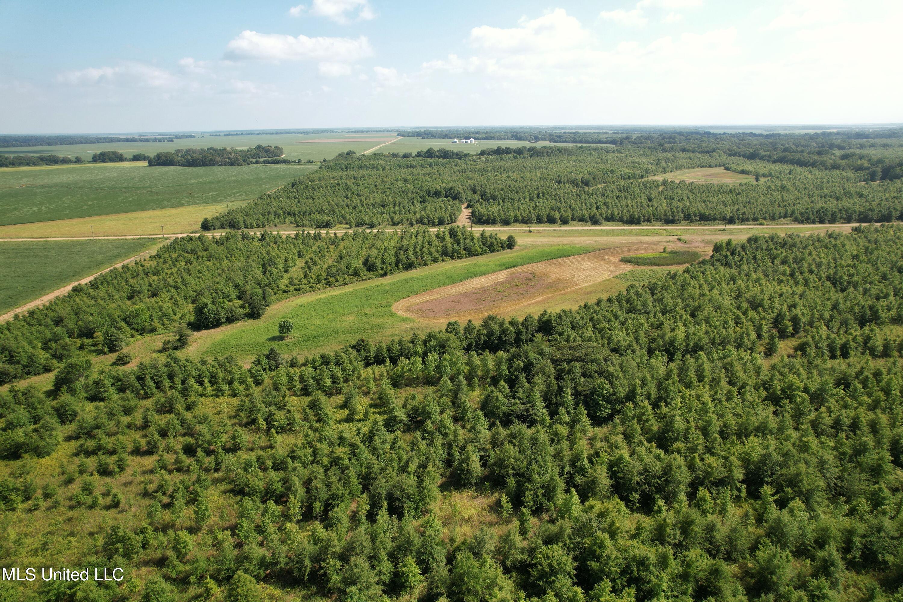 Brooks Road Drew, MS 38737 - Photo 9 of 40 DJI_0784 (1)