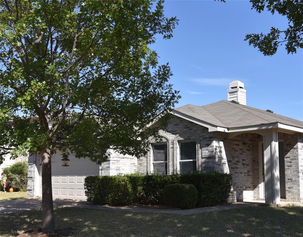front view of a house with a tree