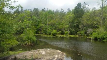 0 Dorcas Road Crestview, FL 32539 - Photo 3 of 6 another view of shallow pond