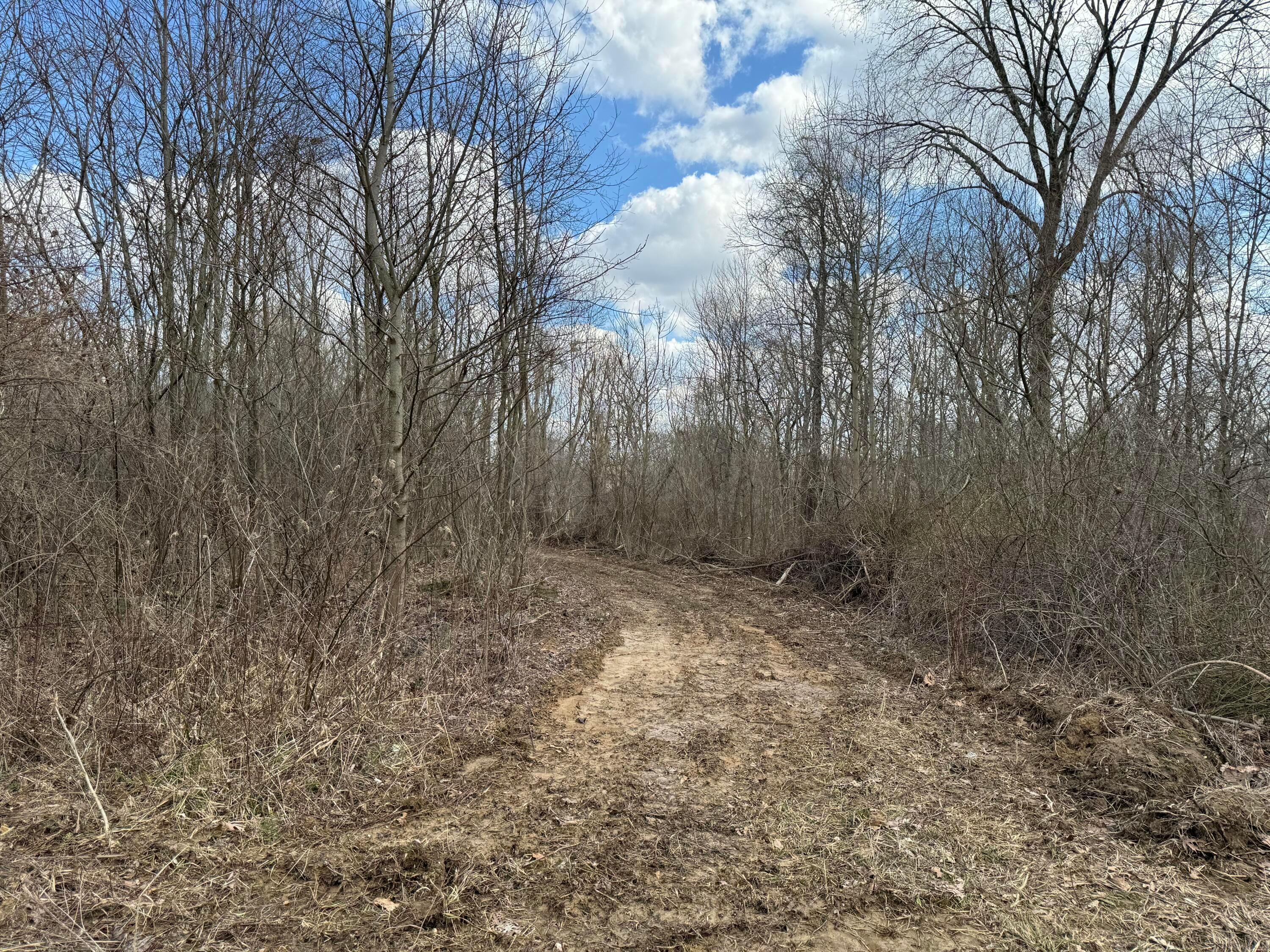0 Flint Ridge Road Northeast, Unit INT RIDGE TRACT 22 ACRE) Crooksville, OH 43731 - Photo 45 of 48 20240304_192051628_iOS