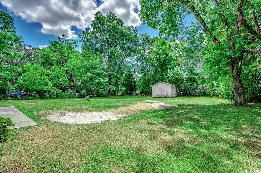 222 East Wine Street Mullins, SC 29574 - Photo 27 of 34