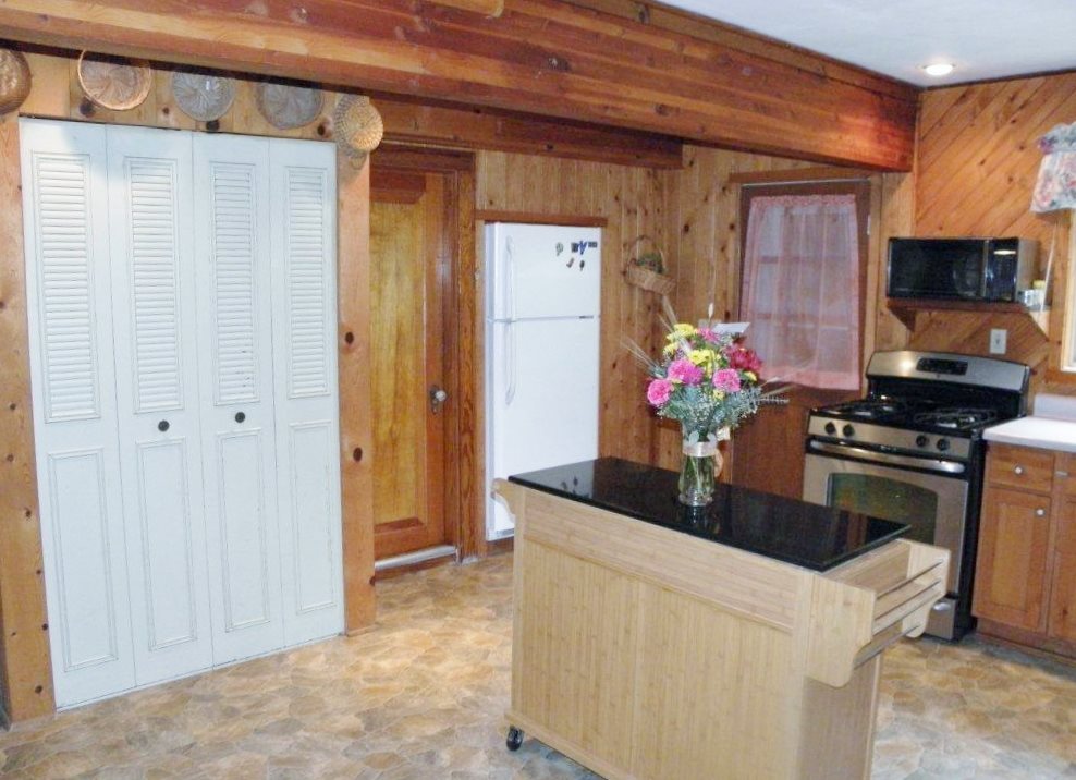8915 Deadstream Road Honor, MI 49640 - Photo 12 of 21 1808760-11.JPG