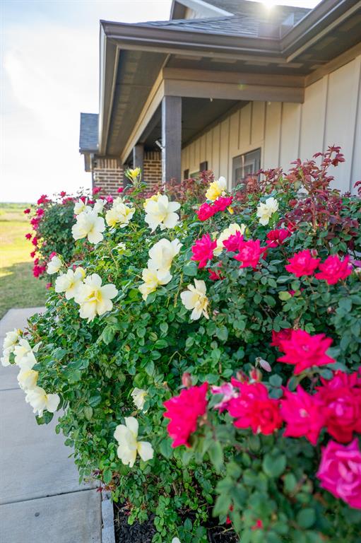 132 Addie Way Tuscola, TX 79562 - Photo 36 of 37 a view of a flower garden