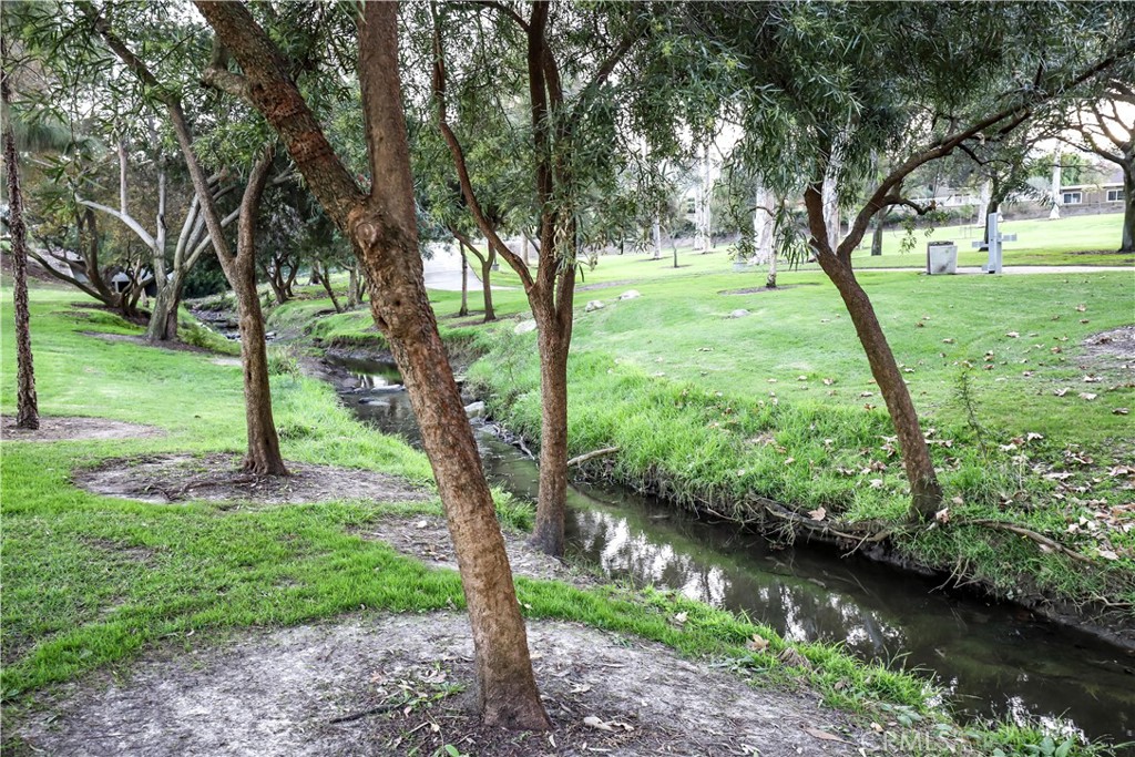 8 Nidden Irvine, CA 92603 - Photo 71 of 77 a view of a garden with a tree