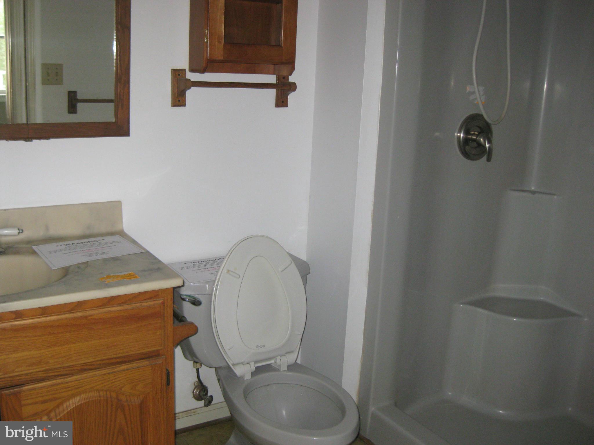 6236 Griffinsburg Road Boston, VA 22713 - Photo 9 of 19 Bath (Master)