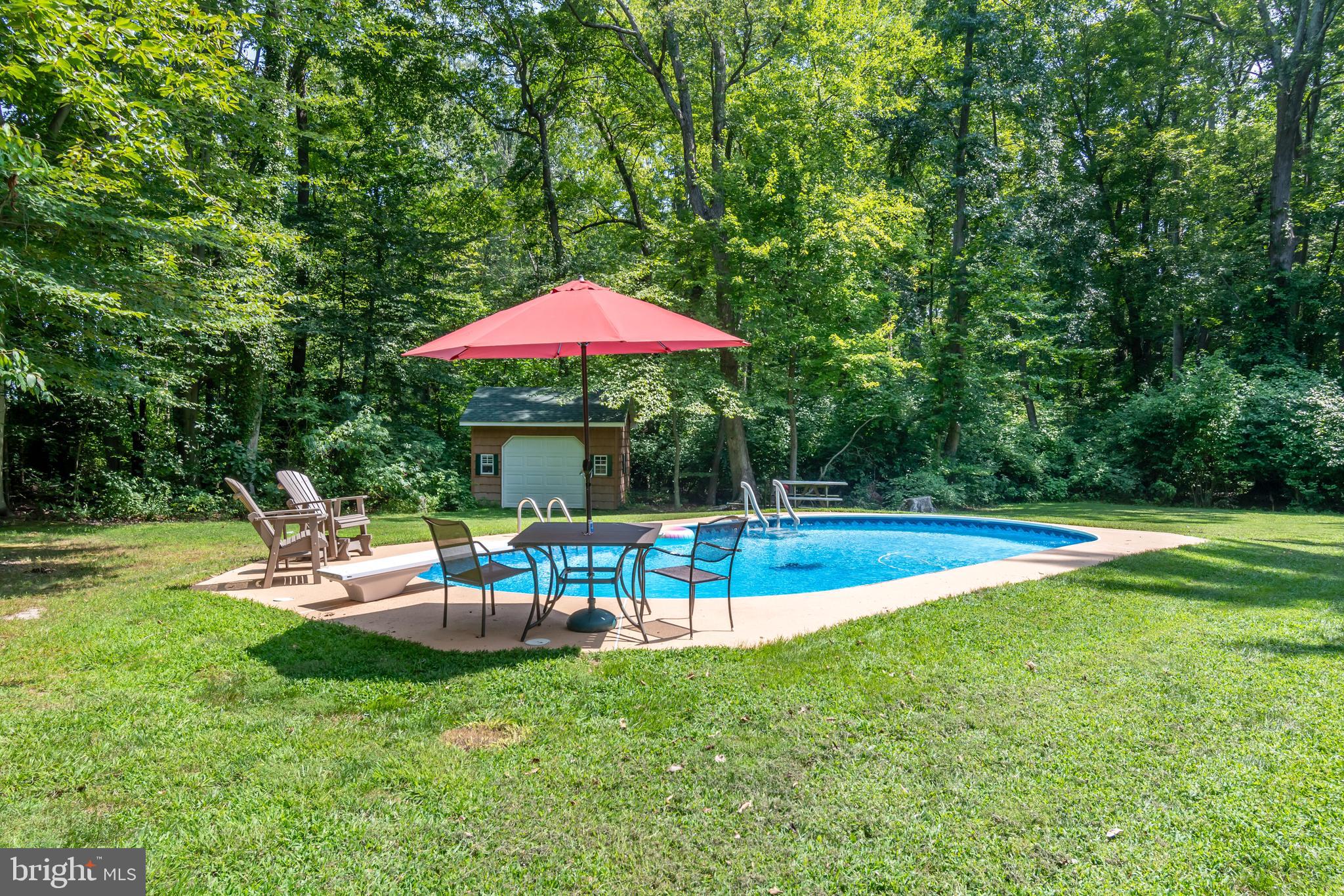 29049 Carters Plains Road Easton, MD 21601 - Photo 8 of 44 Summertime fun
