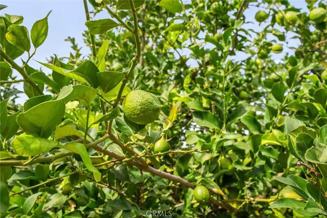 $485,000 | 35167 San Carlos Street, Yucaipa, CA 92399