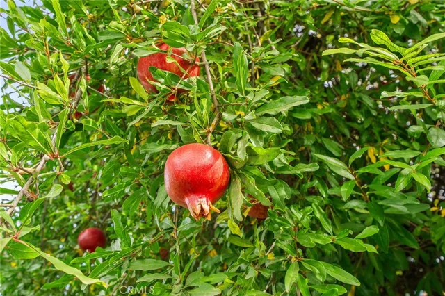 $485,000 | 35167 San Carlos Street, Yucaipa, CA 92399