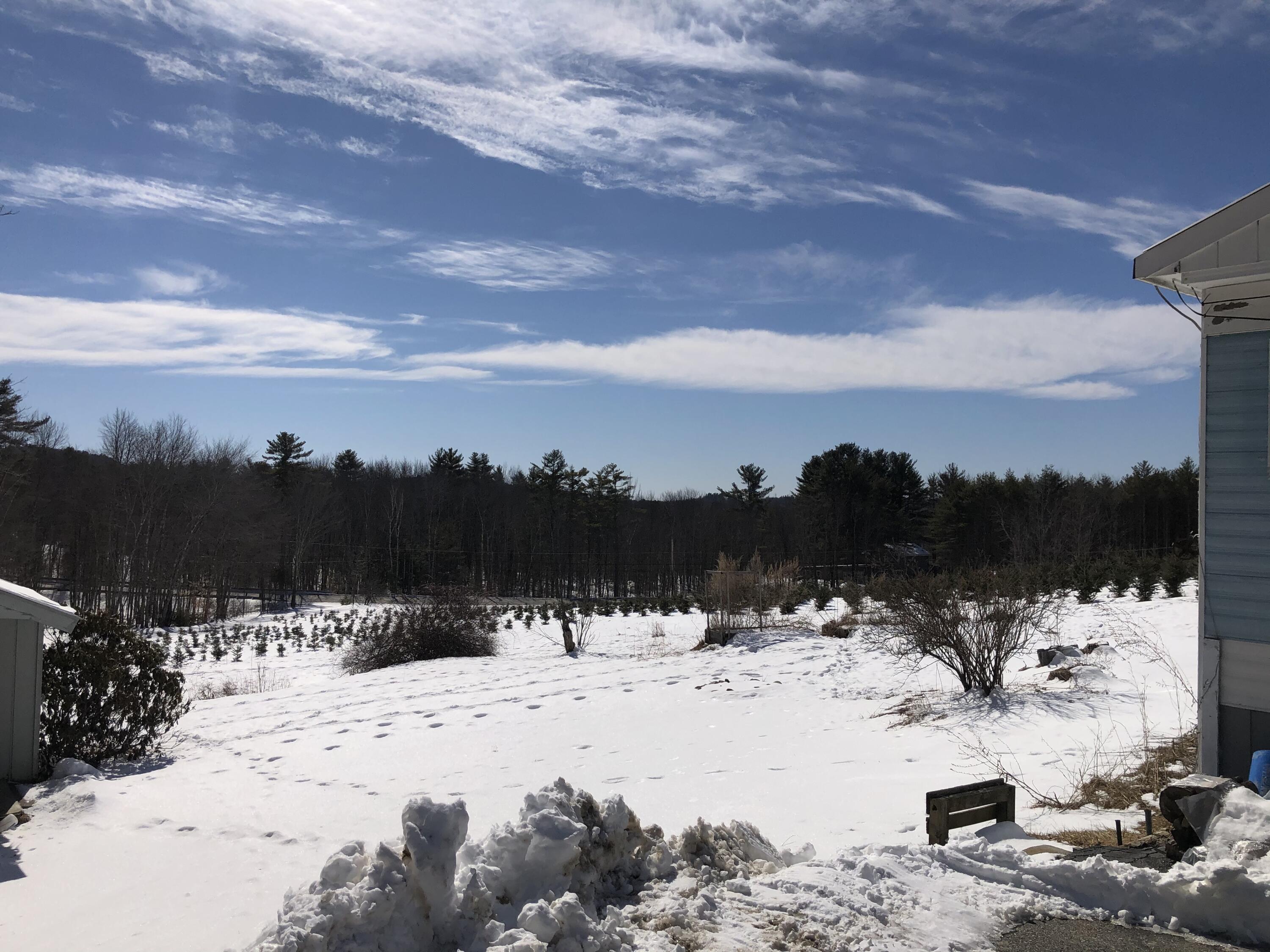 38 Burgess Road Casco, ME 04015 - Photo 3 of 66 Backyard