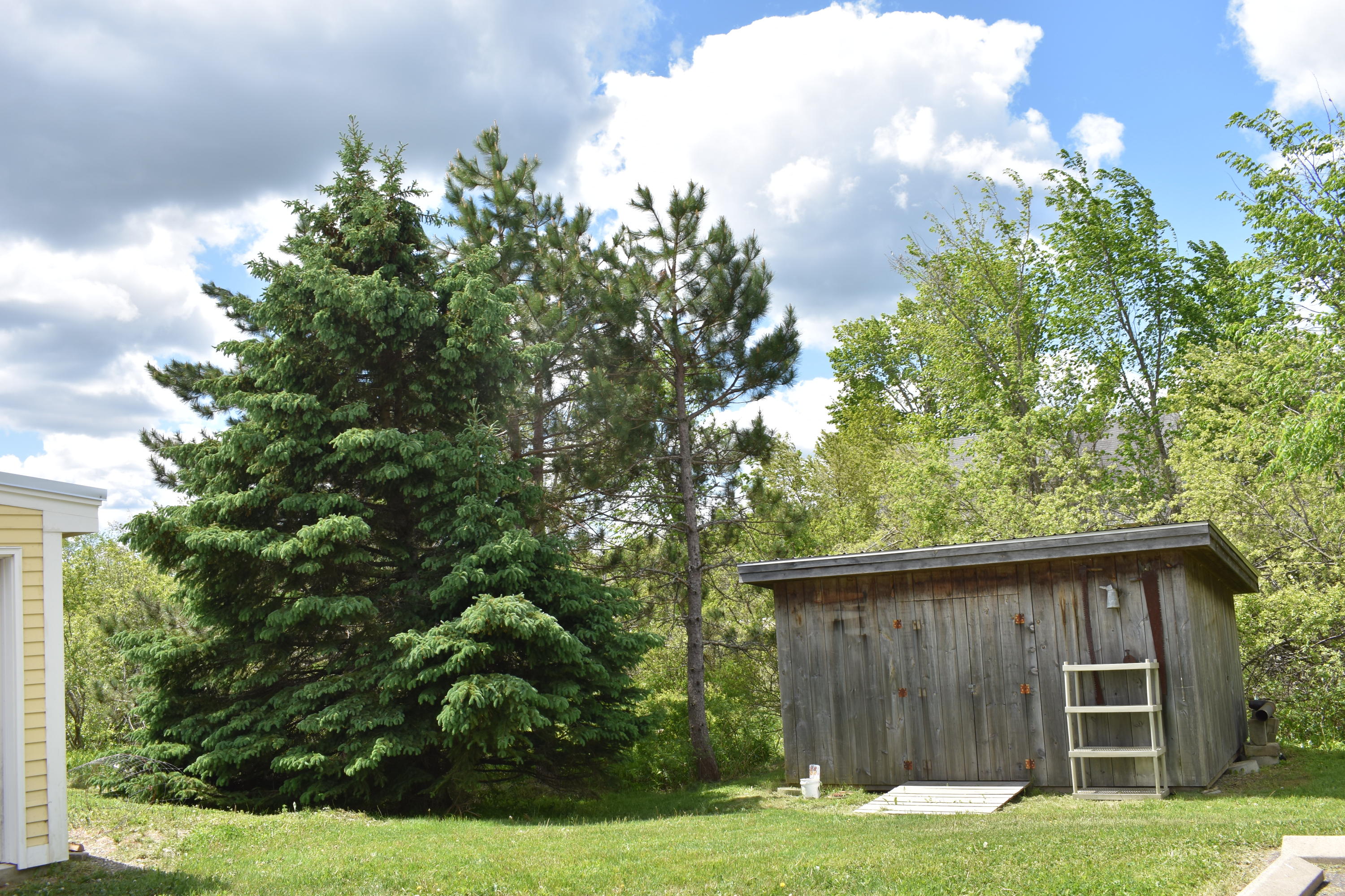 2499 Belfast Road Lincolnville, ME 04849 - Photo 39 of 52 DSC_0920