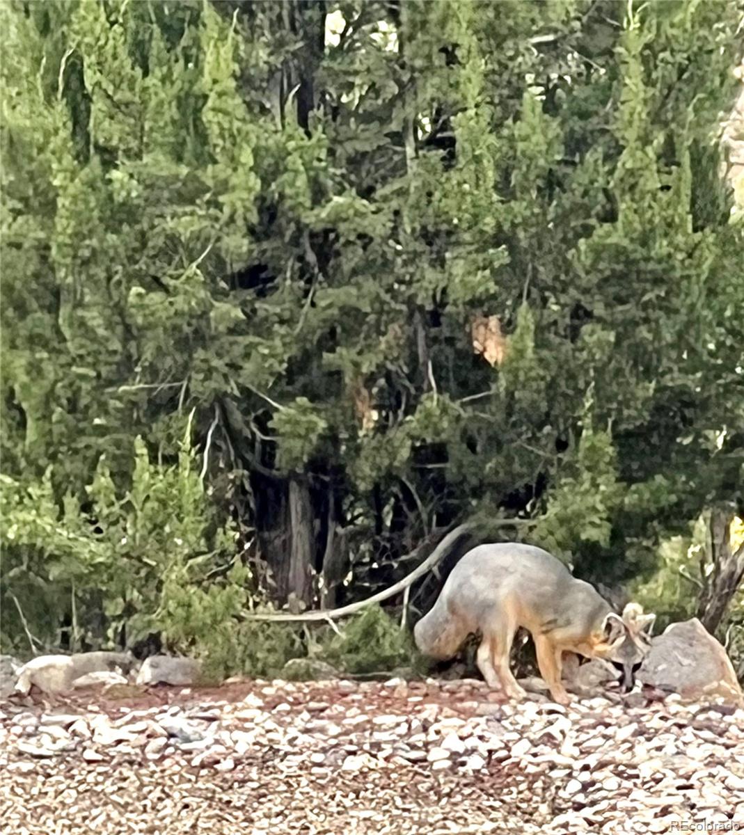217 Corundum Road Trinidad, CO 81082 - Photo 42 of 50