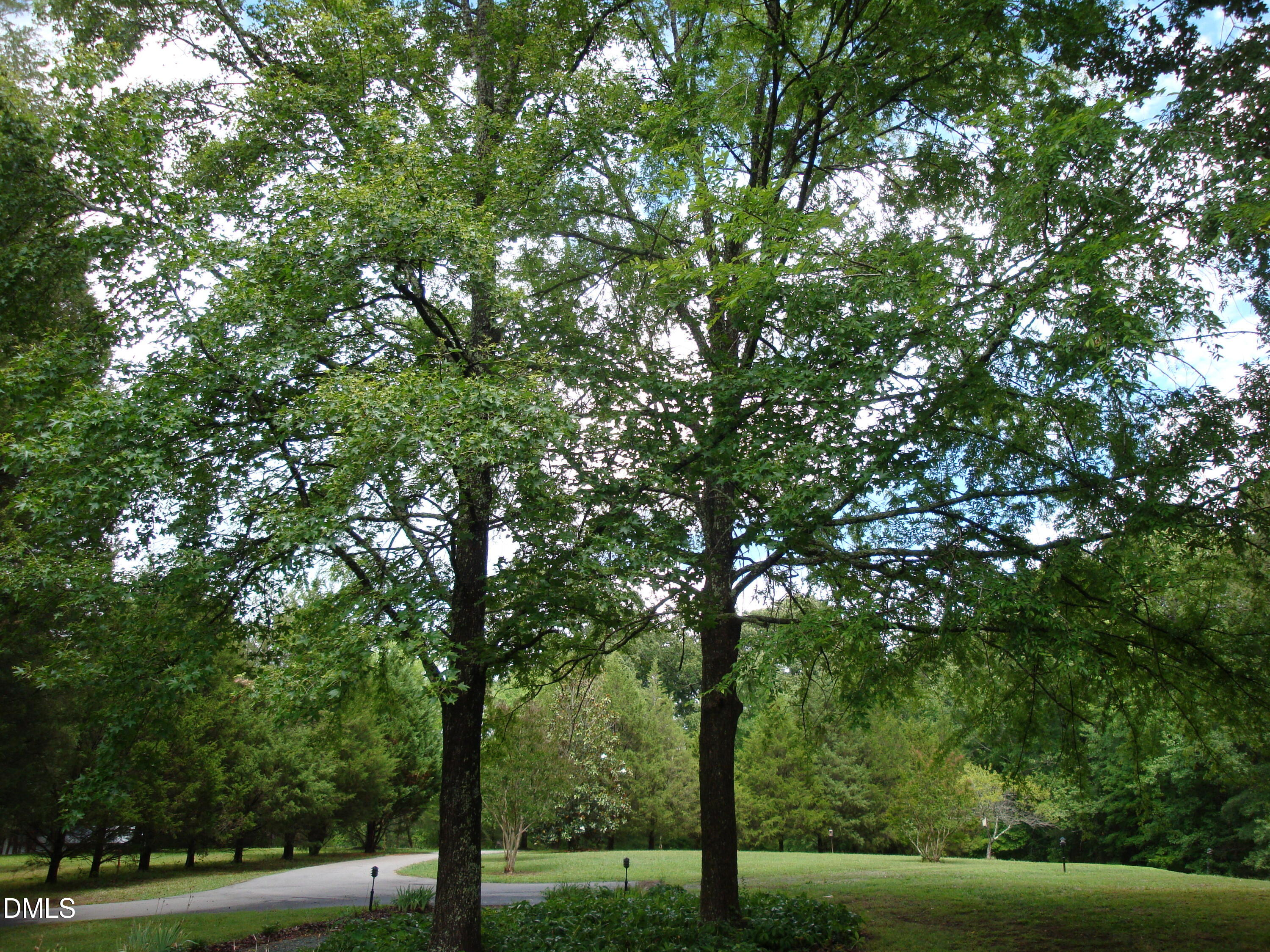 4150 Chatham Church Road Sanford, NC 27330 - Photo 19 of 20 DSC03718
