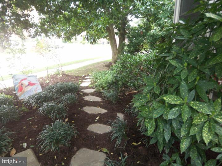 263 Avon Road Springfield, PA 19064 - Photo 24 of 25 Garden