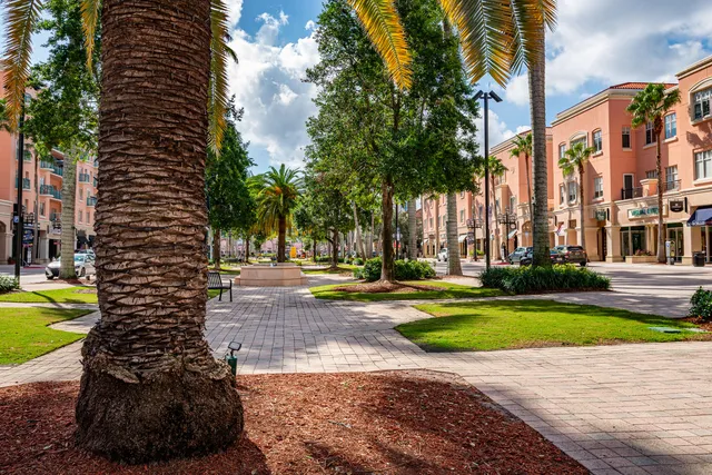 a view of a yard with plants and trees