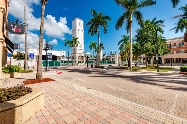 a view of park with palm trees