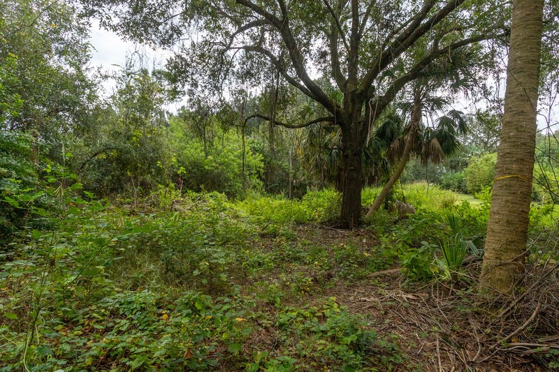 Undisclosed Address Sebastian, FL 32958 - Photo 13 of 22