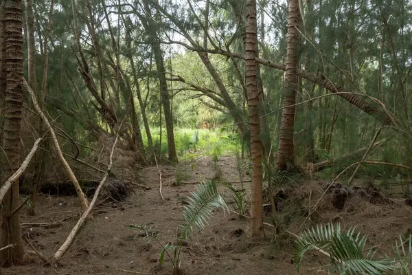 $679,900 | Undisclosed Address, Sebastian, FL 32958