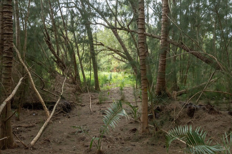 Undisclosed Address Sebastian, FL 32958 - Photo 15 of 22