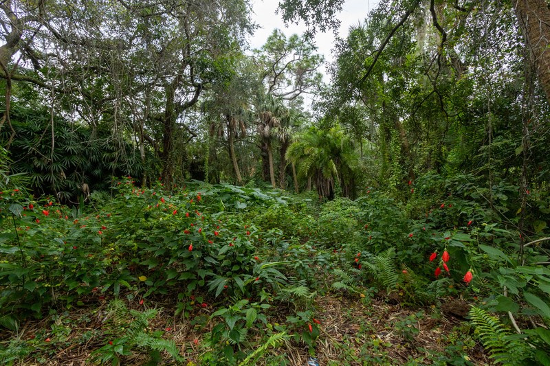 Undisclosed Address Sebastian, FL 32958 - Photo 5 of 22