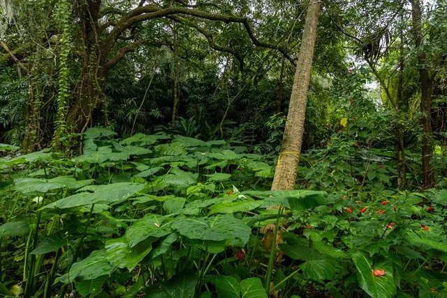 $679,900 | Undisclosed Address, Sebastian, FL 32958