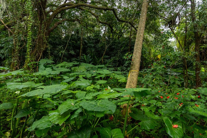 Undisclosed Address Sebastian, FL 32958 - Photo 6 of 22