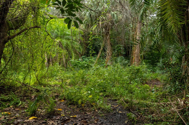 Undisclosed Address Sebastian, FL 32958 - Photo 7 of 22