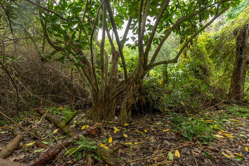 Undisclosed Address Sebastian, FL 32958 - Photo 8 of 22